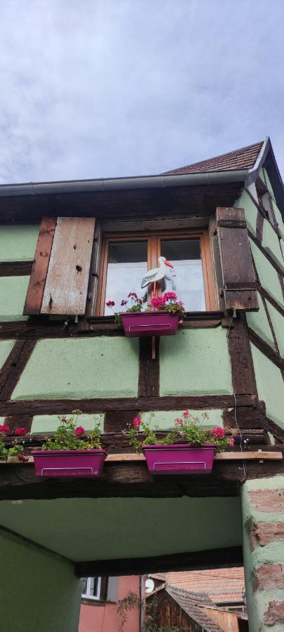 Gite Chez "Mamie Schlop" Kientzheim Exterior foto