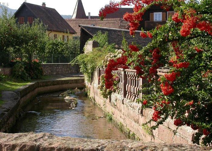 Gite Chez "Mamie Schlop" Kientzheim Quarto foto